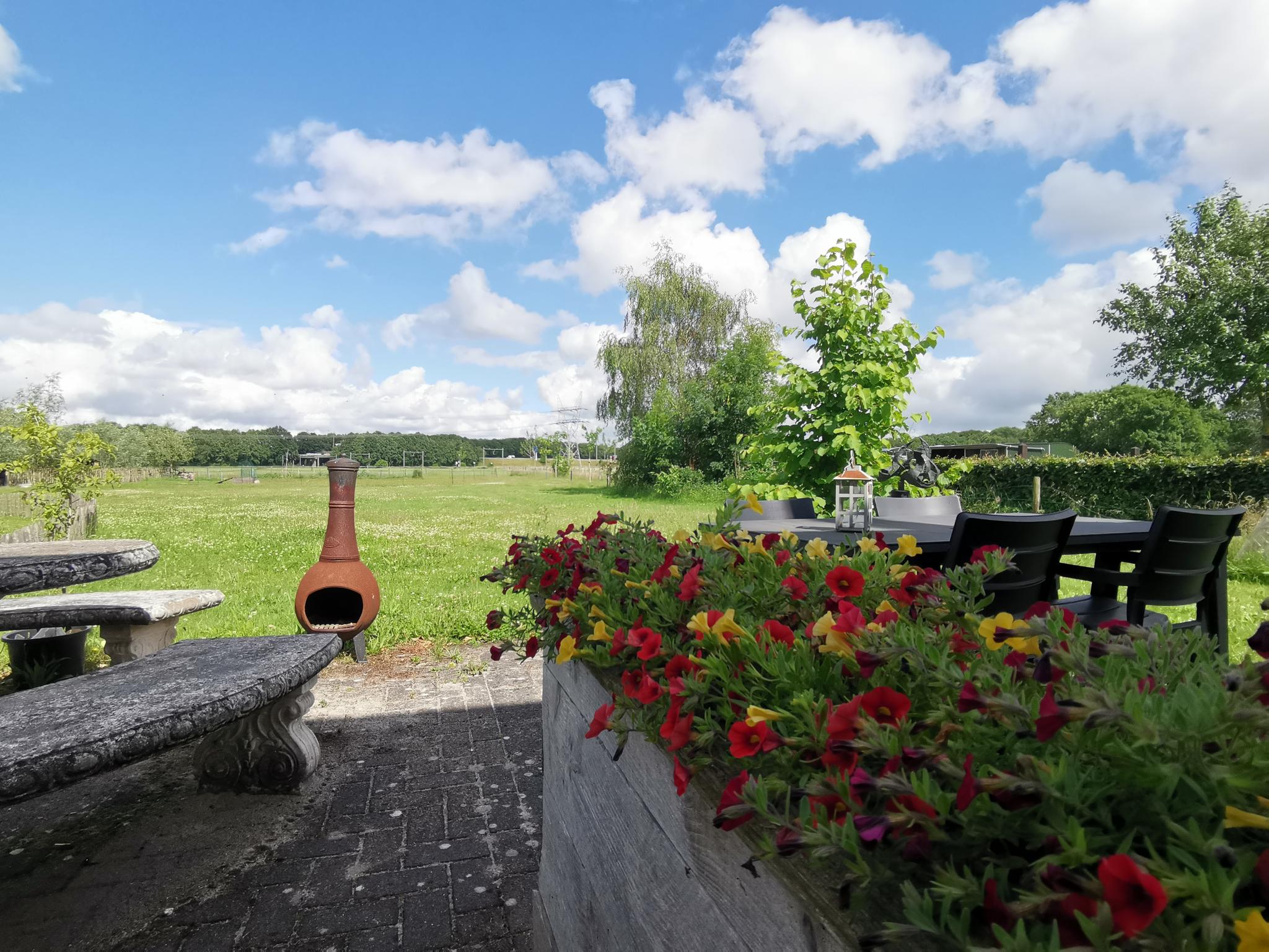 Ochtend op de boerderij